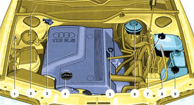  Контроль уровня масла Audi A6